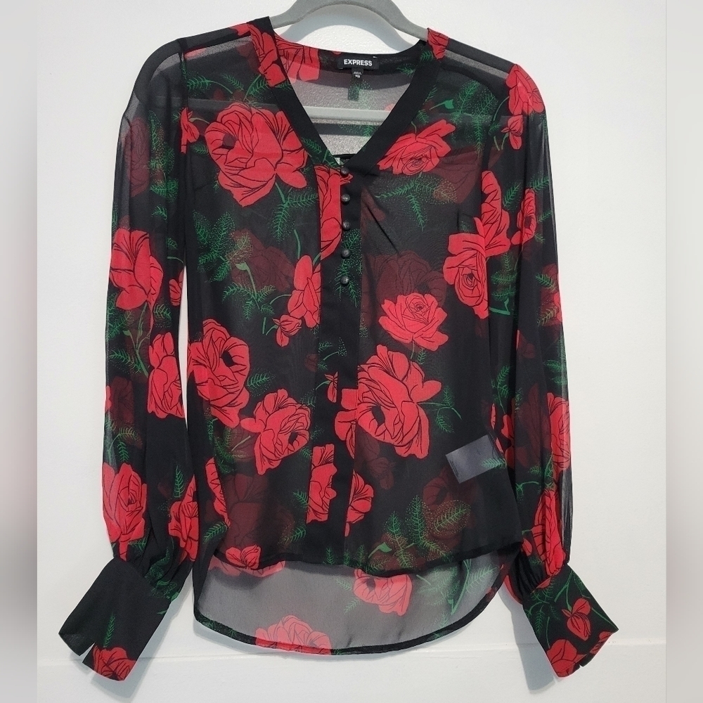 Express Rose Print Sheer V-neckline Long Sleeve Blouses Size XXS